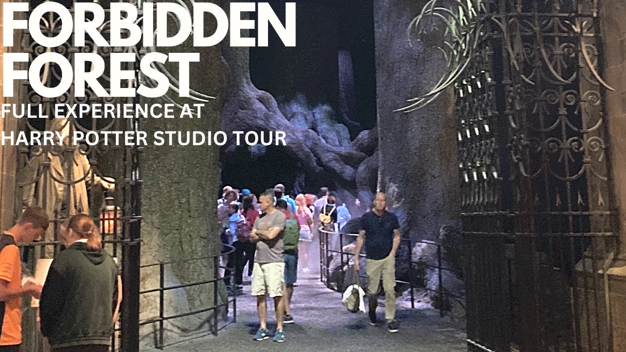 Forbidden Forest Walkthrough (Meeting Aragog!): Harry Potter Studio Tour at Warner Bros London