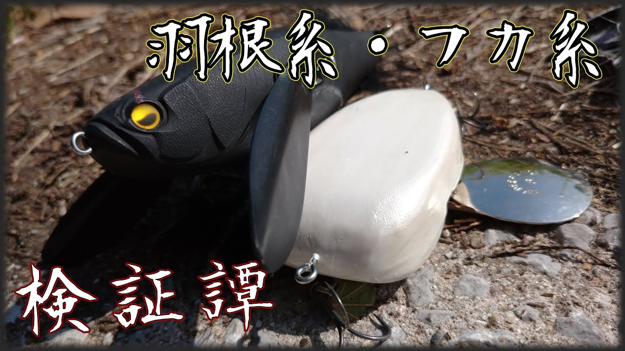 【羽根系・フカ系】衝撃のフカベイトから数か月【検証譚】