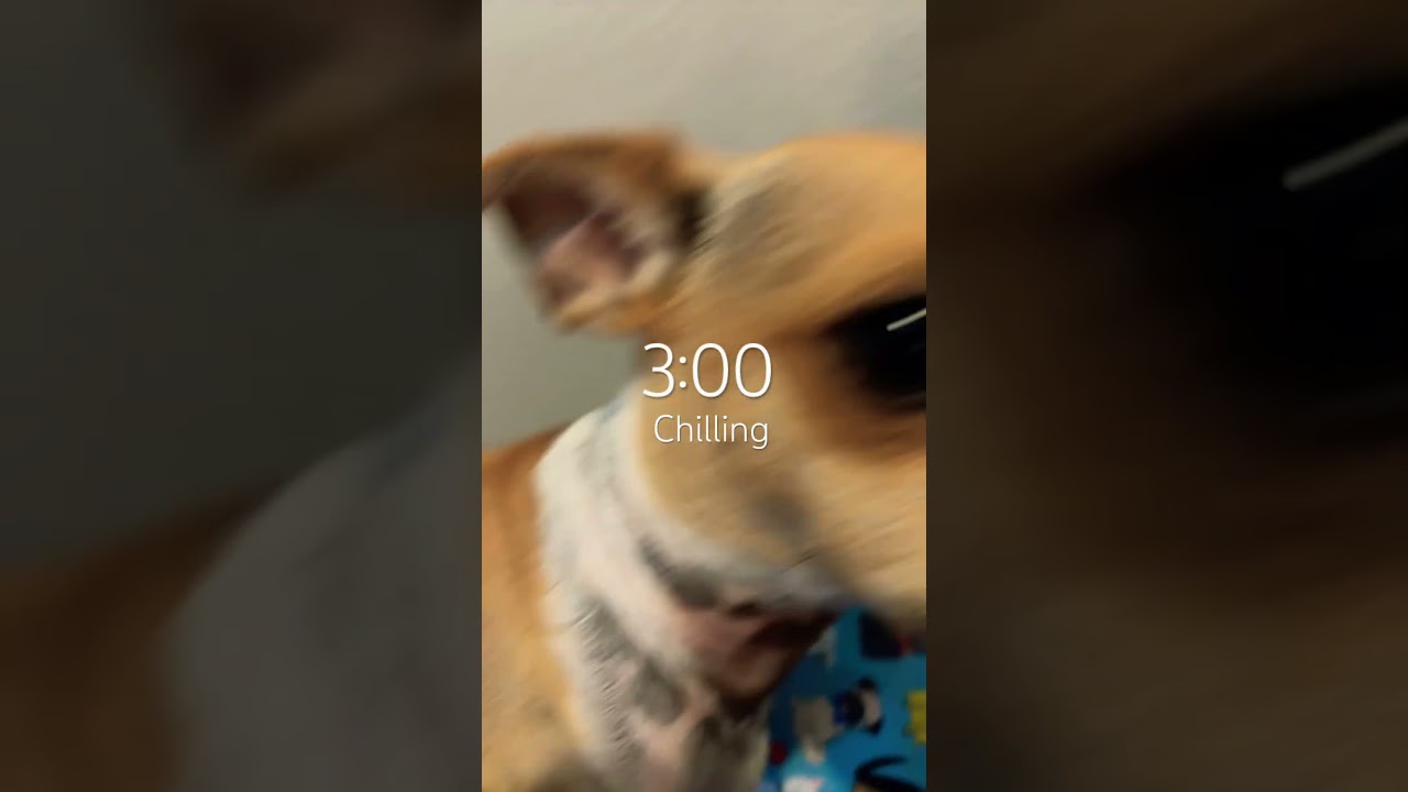 This is what Becky does every day ￼