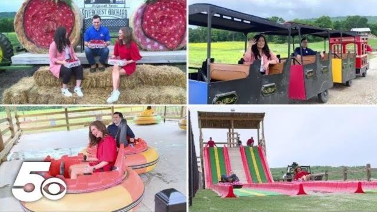 Berry-filled fun at Rivercrest Orchard | Around the Corner