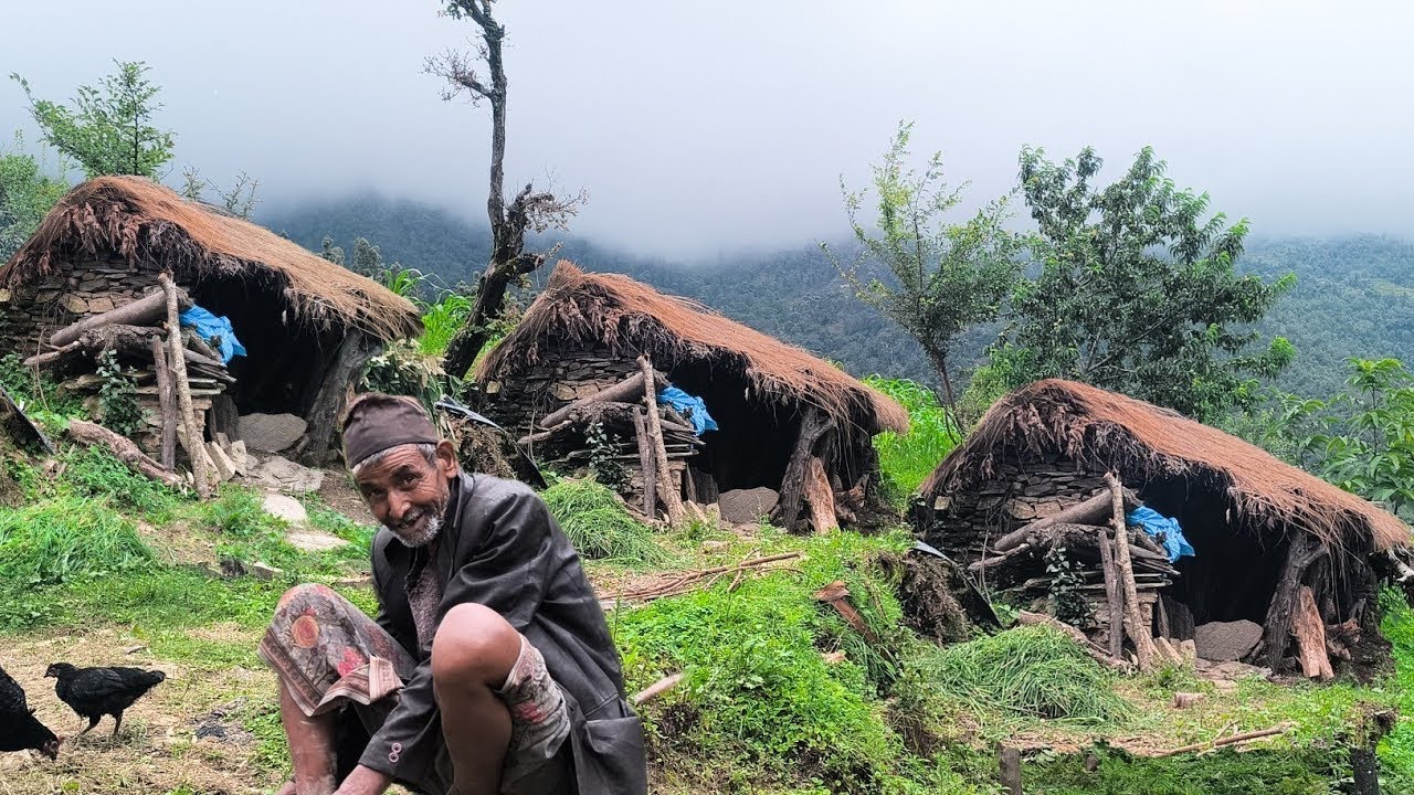 Beautiful Nature with rural life video and organic food hunting poor family,s |