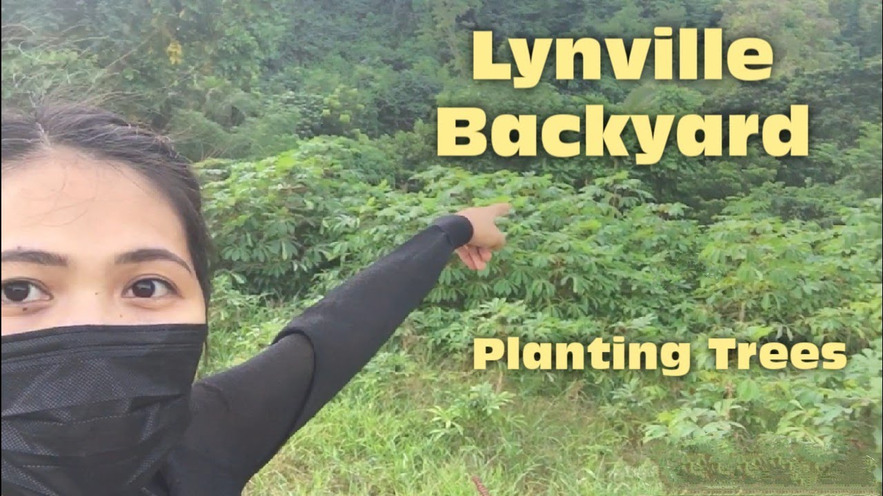 Lynville Backyard Tour | Planting Trees