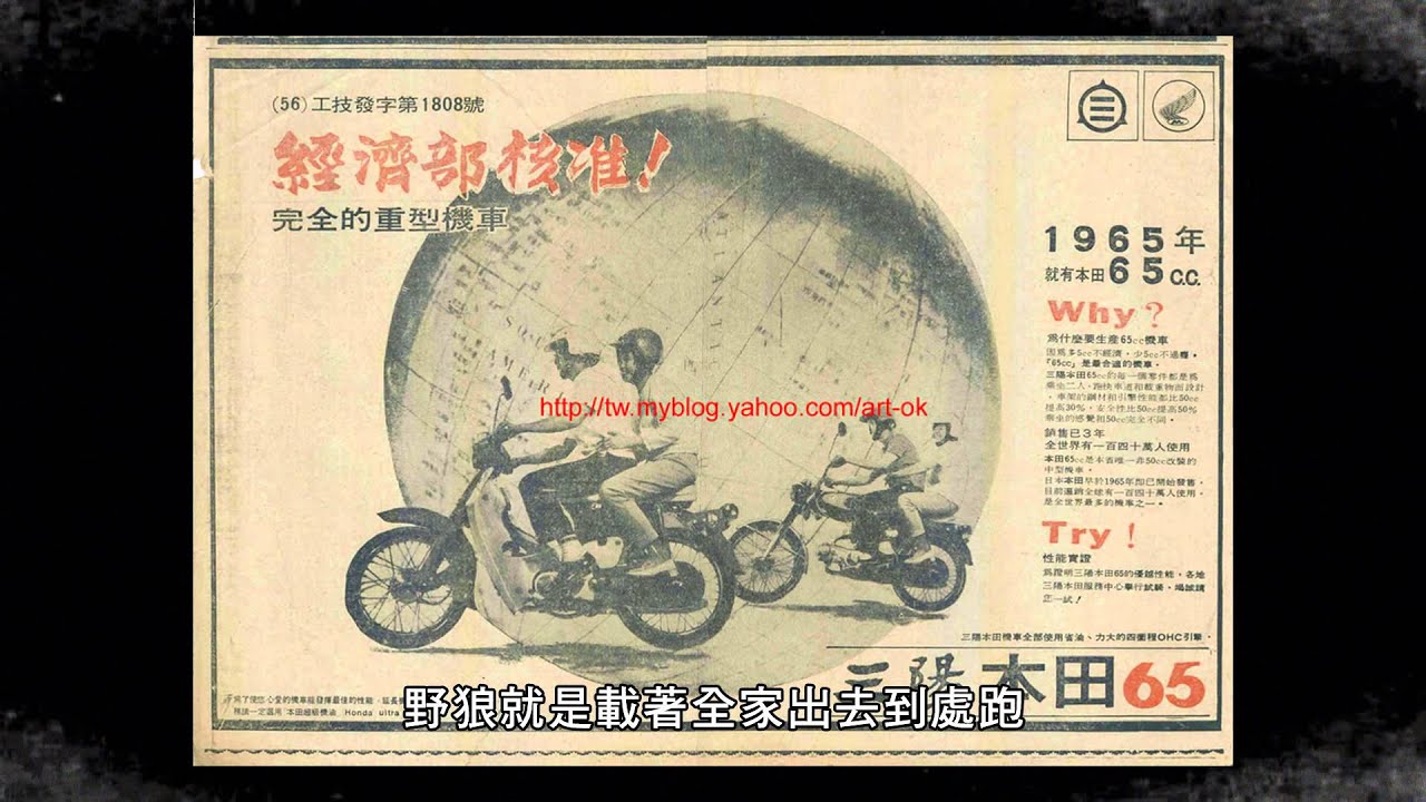 野狼 情感
