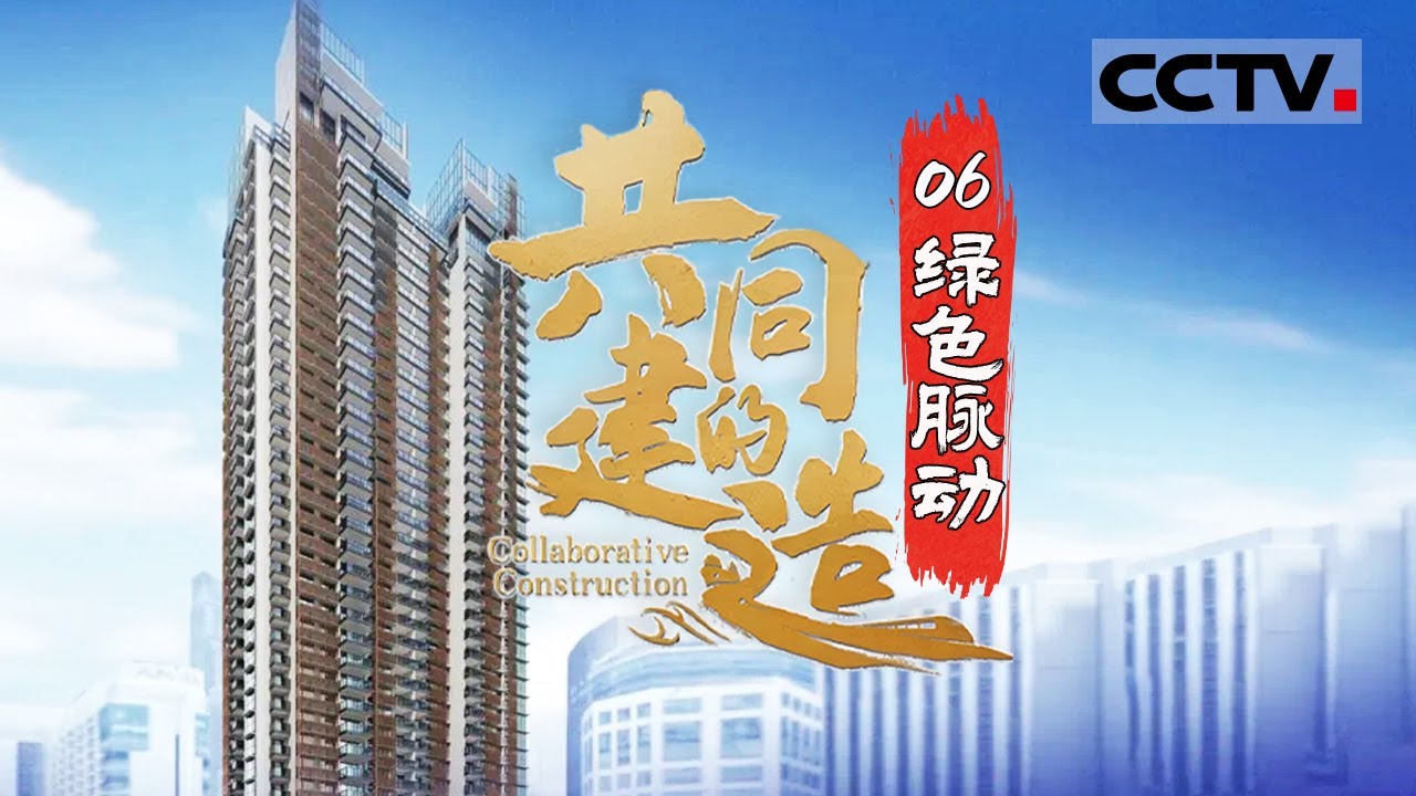 《共同的建造》友谊与发展之路：坦赞铁路不仅是贯穿非洲东部的交通大动脉 更是中非友谊与合作的美好象征！EP06【CCTV纪录】