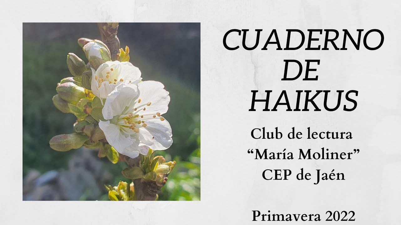 CUADERNO DE HAIKUS 