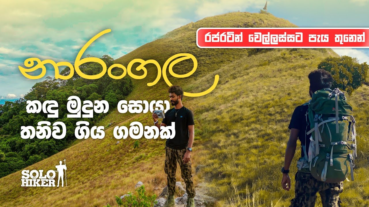 නාරංගල කඳු මුදුන සොයා තනිව ගිය ගමනක් | රජරටින් වෙල්ලස්සට පැය තුනෙන් | Solo Hiker | Narangala |