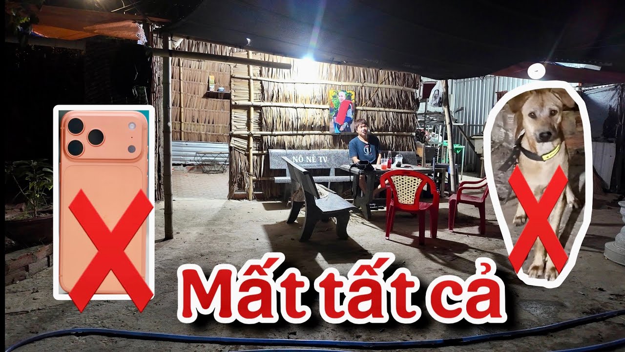 Lý Do Nô Nè Mất Tất Cả và Mất Tích Trong thời gian qua