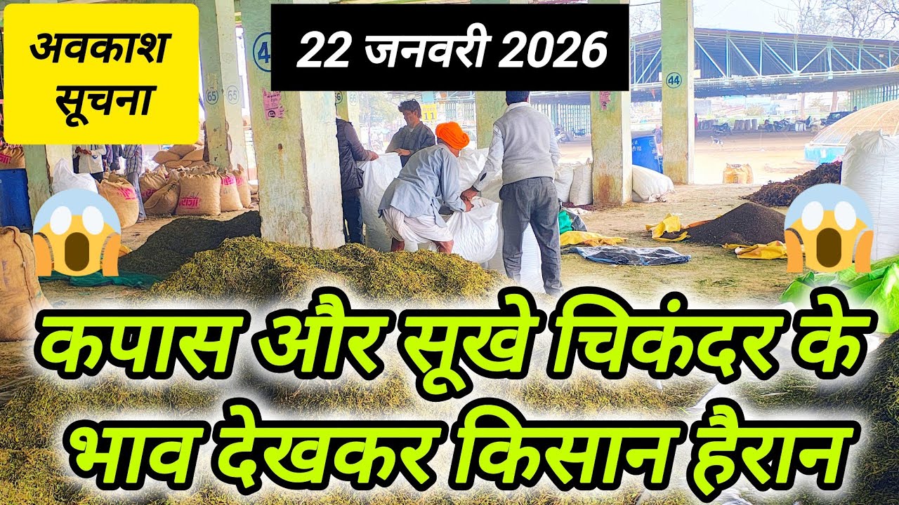36 प्रकार की औषधियां लाए किसान 🤯🤯 ।। औषधि मंडी नीमच ।। Ashish Dhakad ।। Neemuch Mandi Bhav 