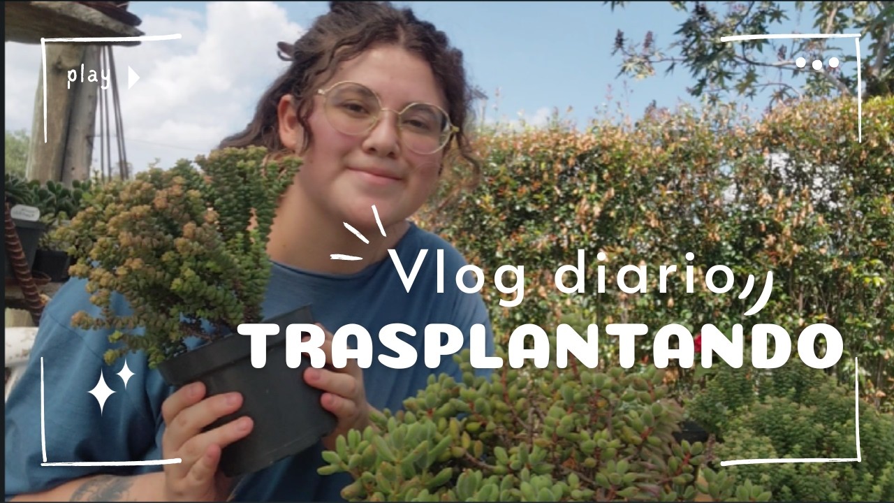 Acompáñame a trasplantar: Rutina de cuidado de plantas & Charla 🪴☕