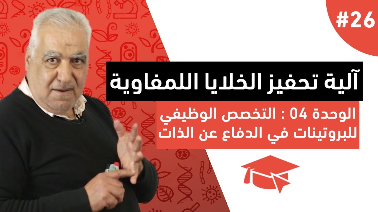 #26 آلية تحفيز الخلايا اللمفاوية