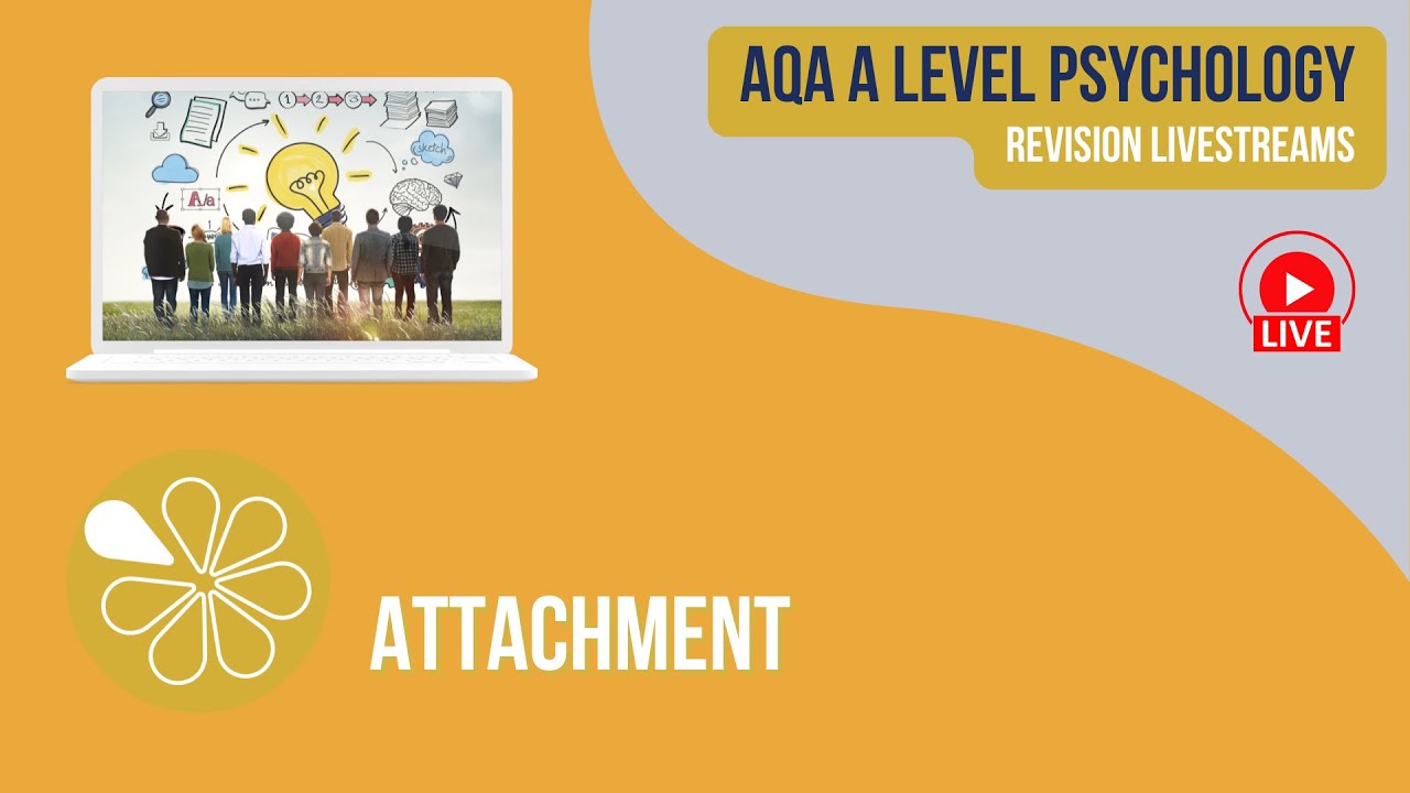 AQA A Level Psychology  | Live Revision | Attachment