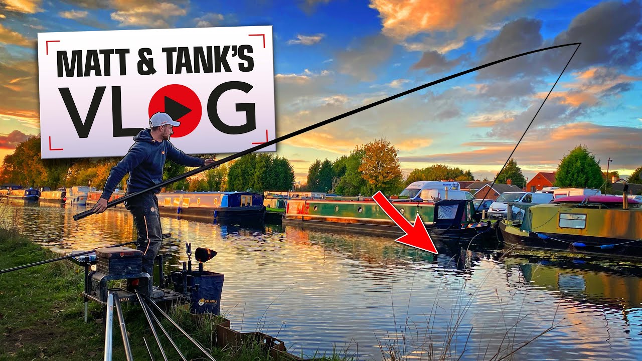 Catching GIANT Canal Fish | Matt and Tank VLOG #019