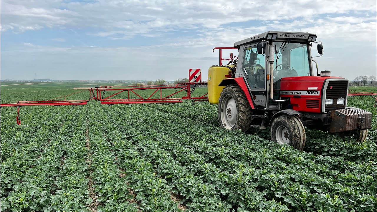 Ochrona rzepaku 2025r Derrick punktowo || Massey Ferguson 3060 & Rau D2 ||