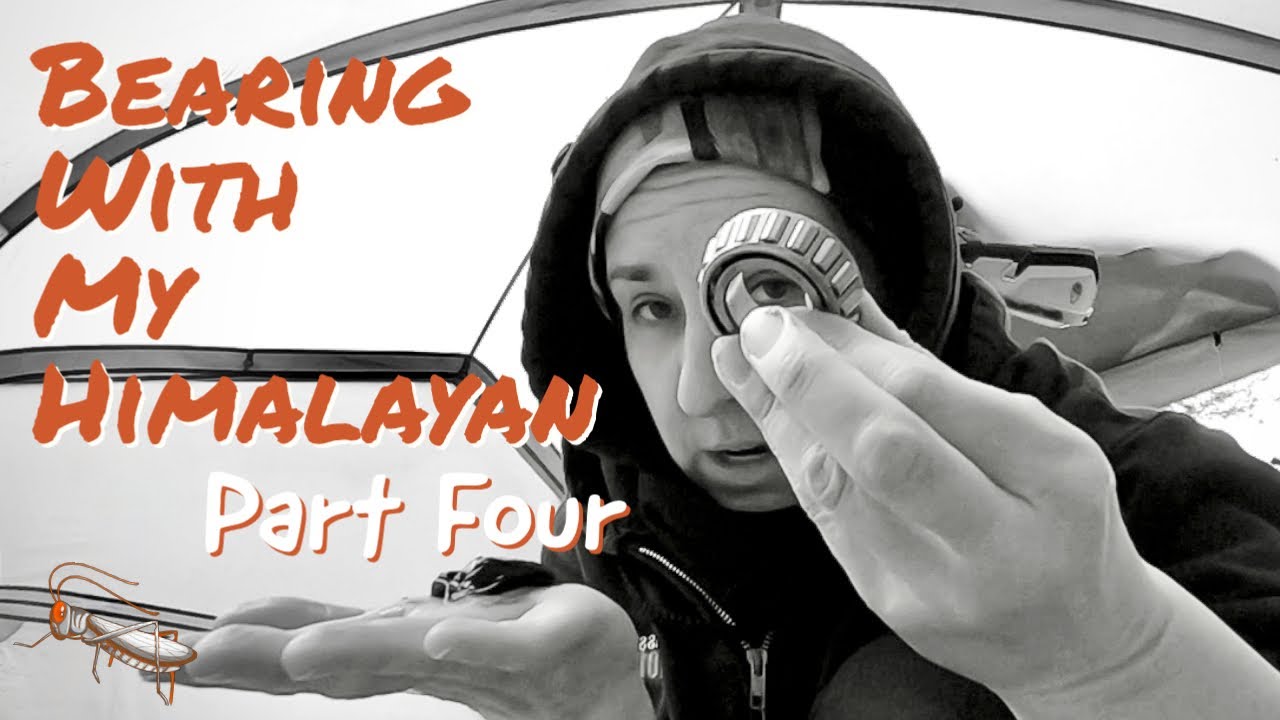 Head Bearing Replacement - 2019 Royal Enfield Himalayan - Part 4 of 4