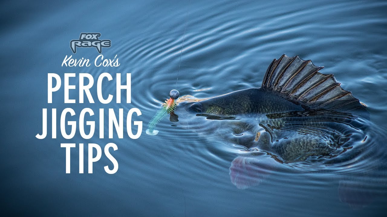 ***FOX RAGE TV*** PERCH JIGGING TIPS