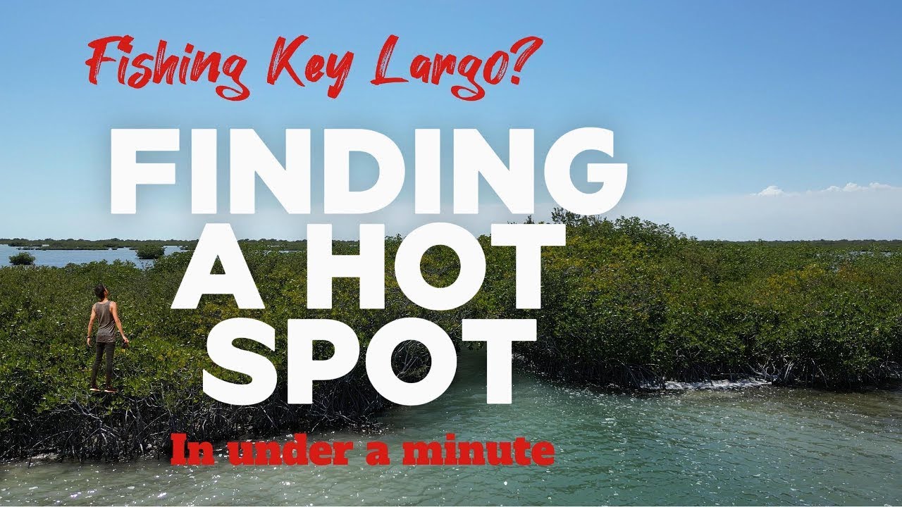 Key Largo&rsquo;s Secret Fishing Spot &mdash; Here&rsquo;s Why It&rsquo;s Fire 🔥