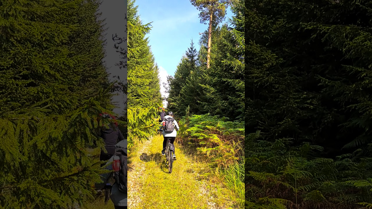 Nationalpark Schwarzwald. Mountainbike Tour.
