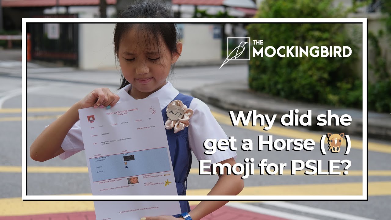 Girl Gets Horse (🐴) Emoji for PSLE Science, Unsure About Future Prospects