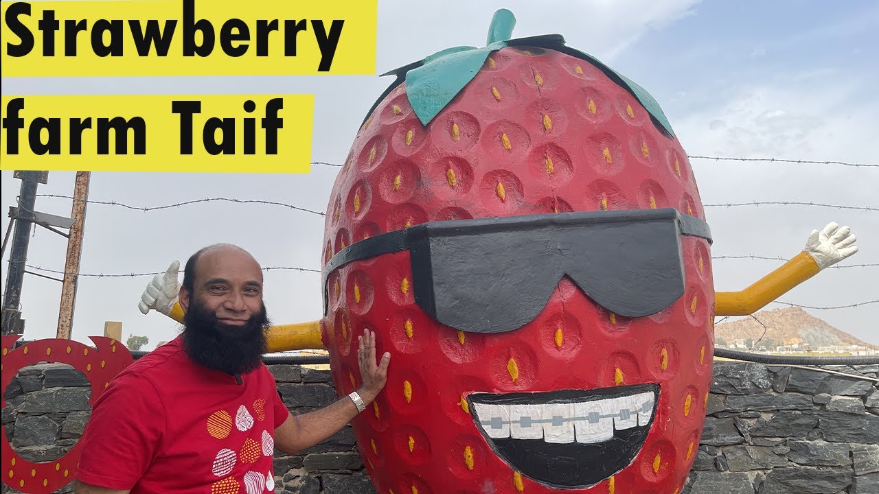 Amazing Strawberry farm in Taif , Al-Hada in Saudi Arabia vlog with Rashid Ali Khan