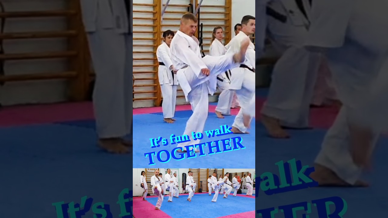 It's fun to walk together #karate #piatsko #martialarts #空手道 ＃空手 #kihon #gyaku #zuki #sensei #budo