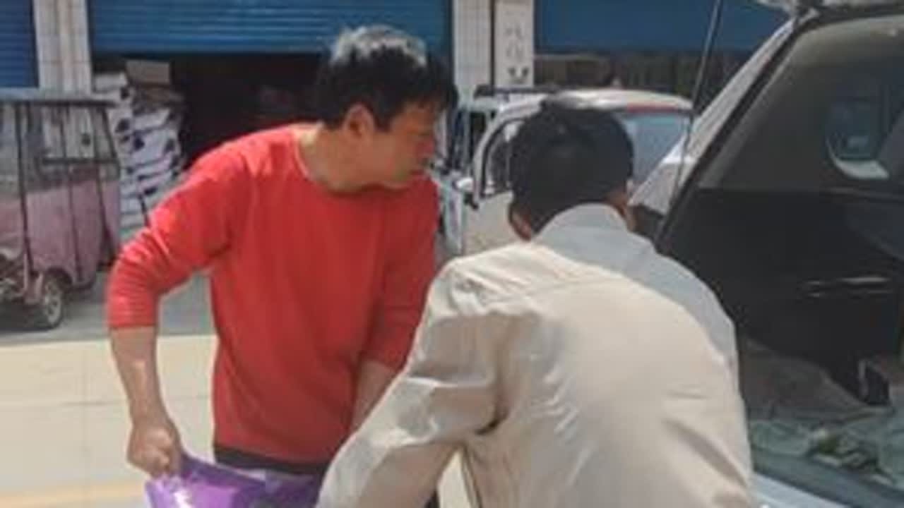 这还没到种玉米呢，都急着让买种子了，为什么买这么早呢？我三伯说了晚了容易买到陈的。