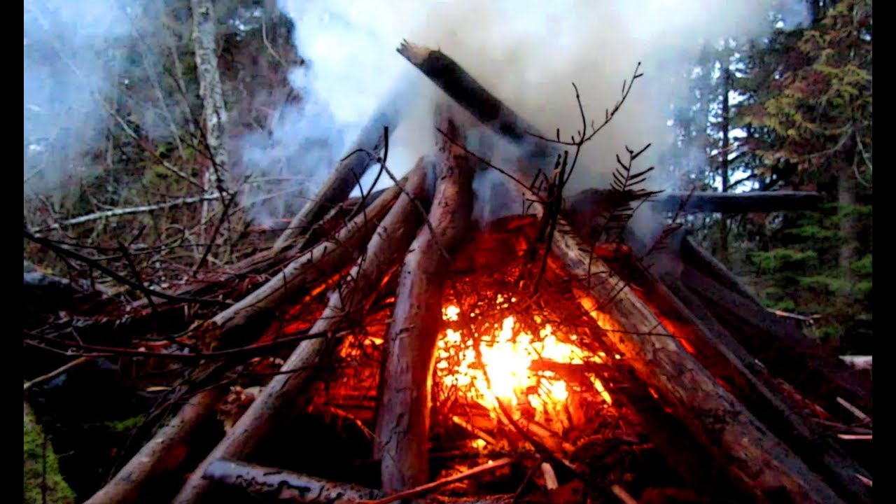 Conifer Bough Fire Booster to Burn Wet Wood