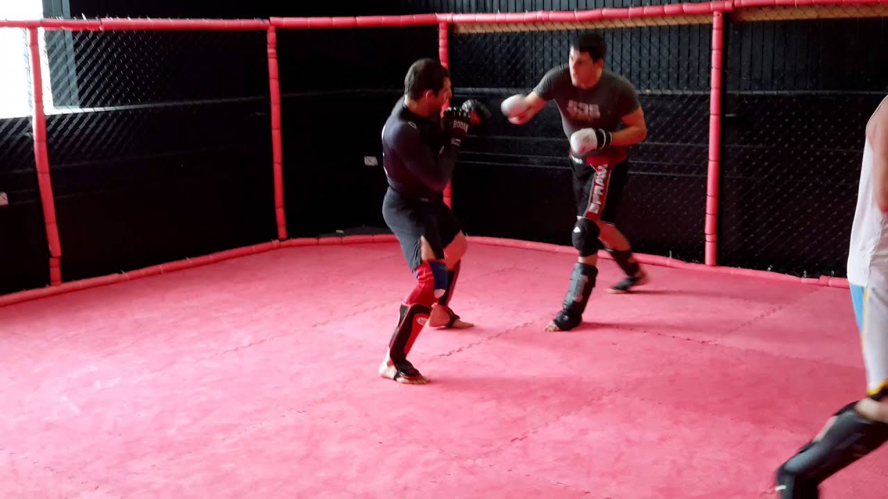 Priscus and Rob Wilkinson Sparring