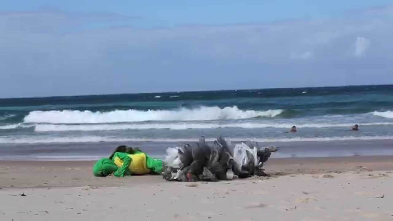 The Life of a Plastic Bag
