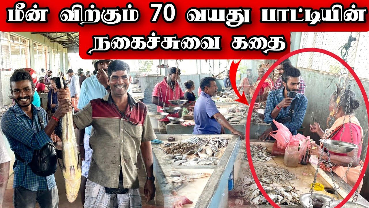 popular fish Market in Jaffna | எதிர்பாராமல் குவிந்த மீன்கள்  | Shen Vlogs
