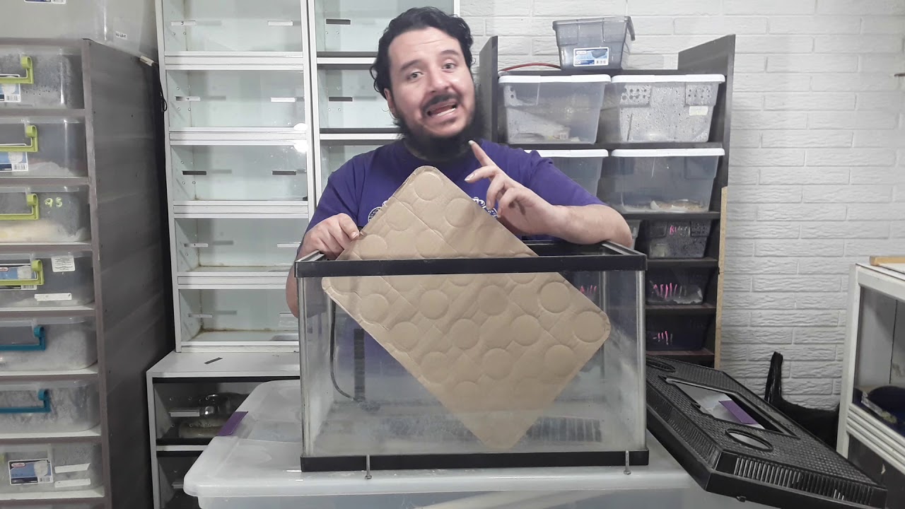 Sabes como darle CALOR a una PECERA para casa de una SERPIENTE???