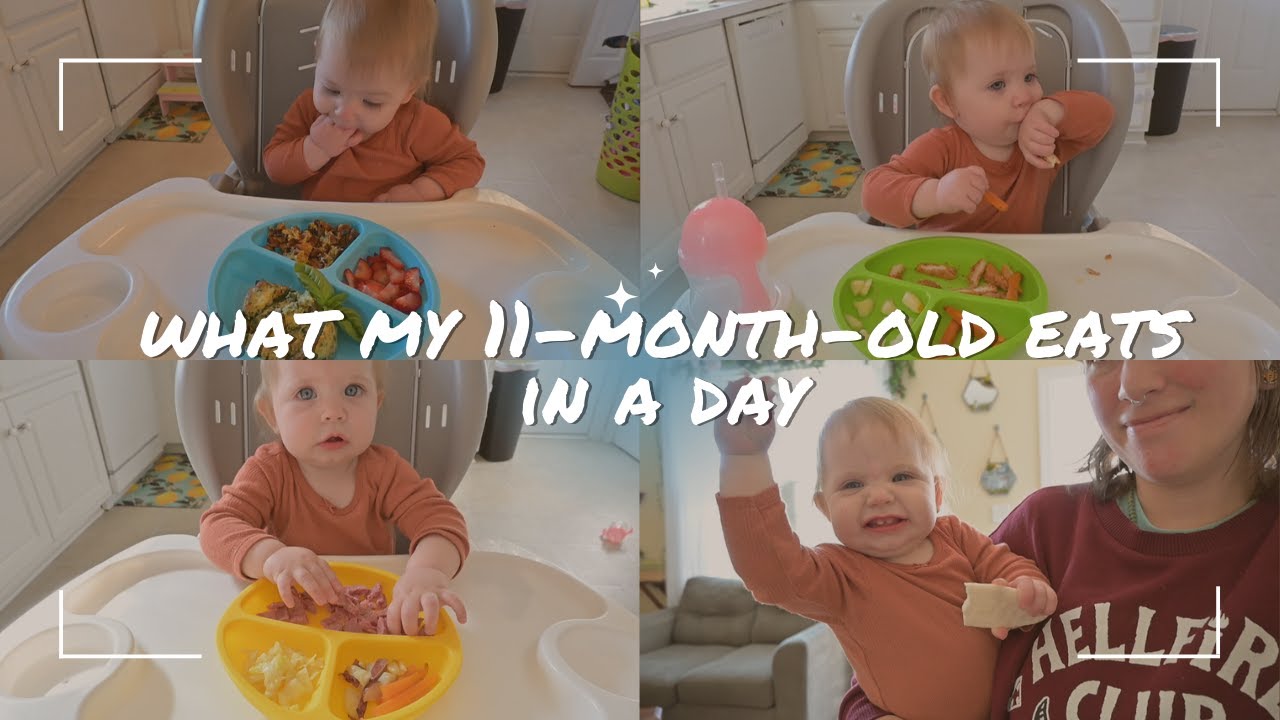Feeding My 11-Month-Old: A Day in the Life of Baby's Meals!