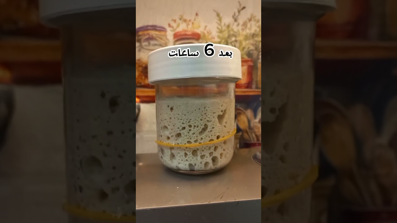 طريقة إعداد الخميرة الطبيعية  sourdough من الصفر خطوة بخطوة ( الجزء الثاني 2)