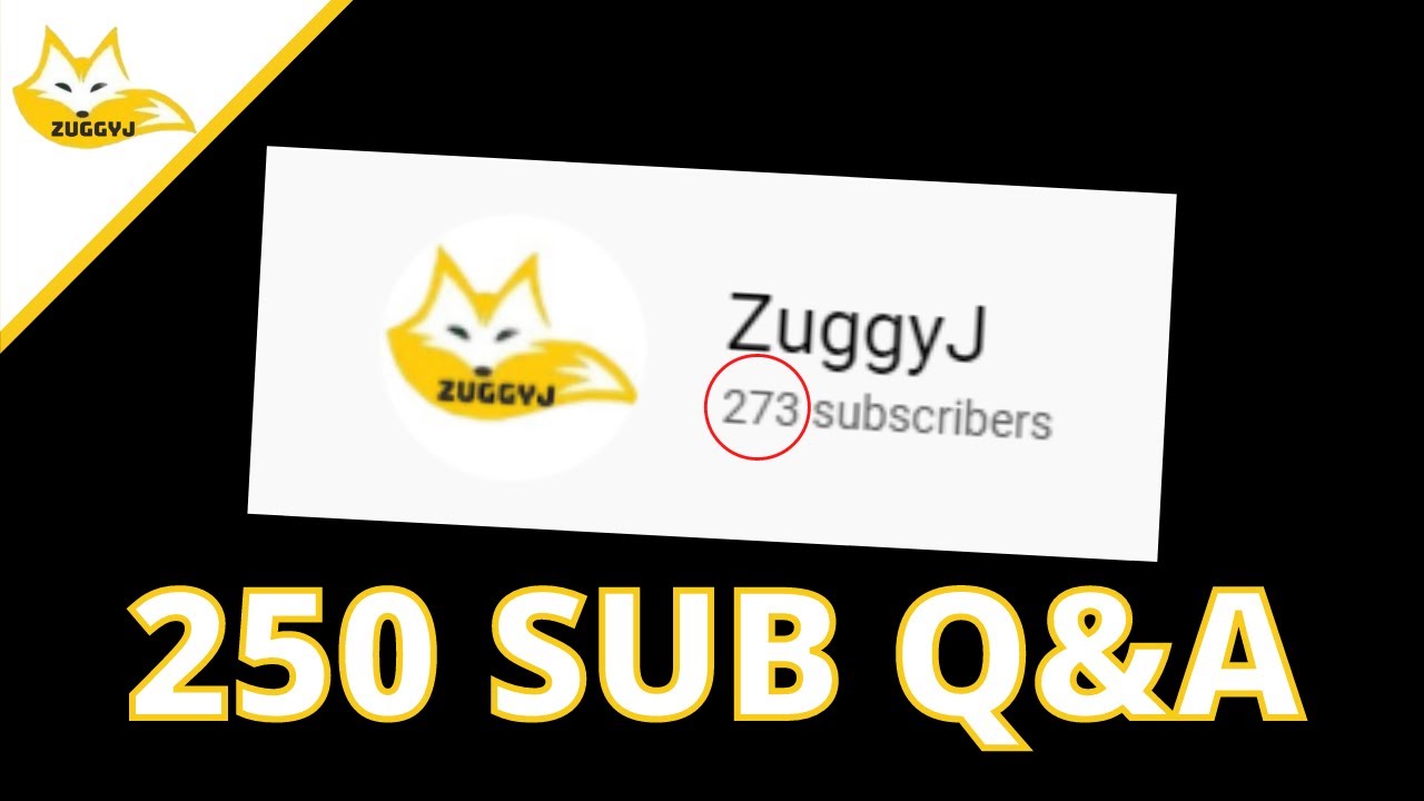 250 Sub Special (Q&A)