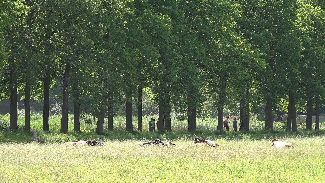 Landgoed Boekesteyn