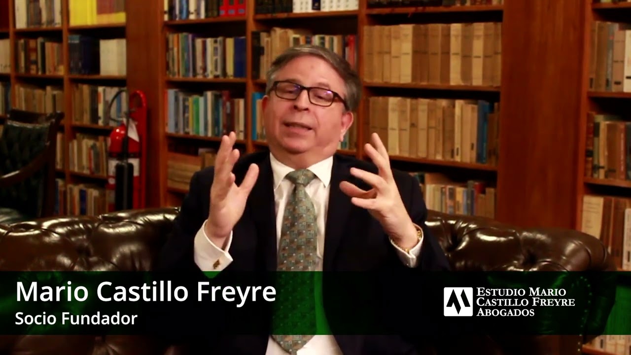 Las obligaciones divisibles e indivisibles - Mario Castillo Freyre