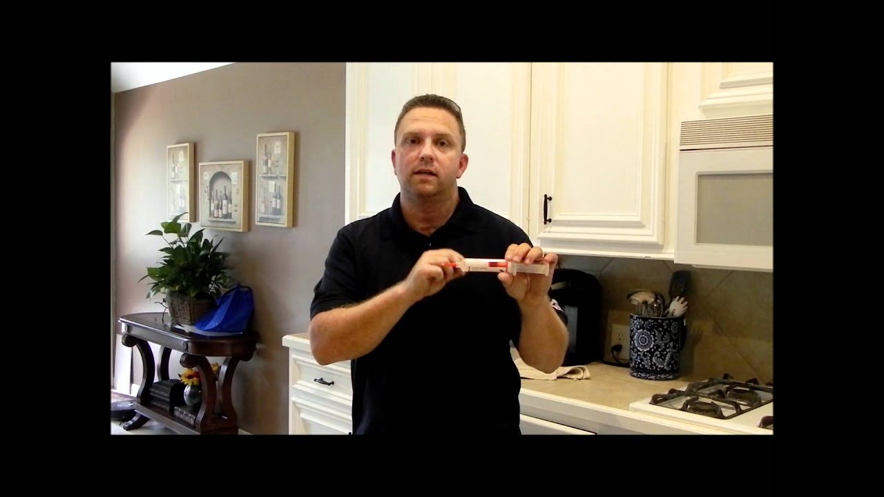 Ant control in Houston