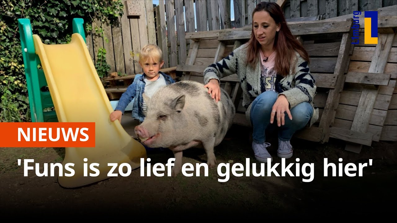 Dierendag: Familie uit Beek heeft varken als huisdier