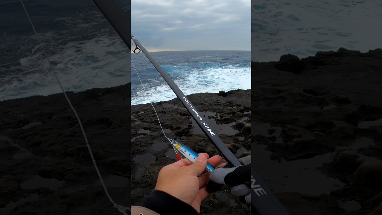 Shore jigging setup Shimano Coltsniper Xtune paired with a Saragosa 40lb braid, 80lb leader, 80g jig