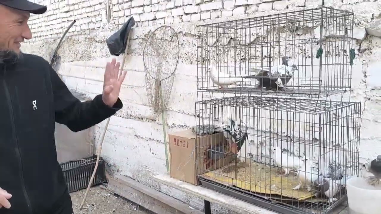 16 марта 2026 г.