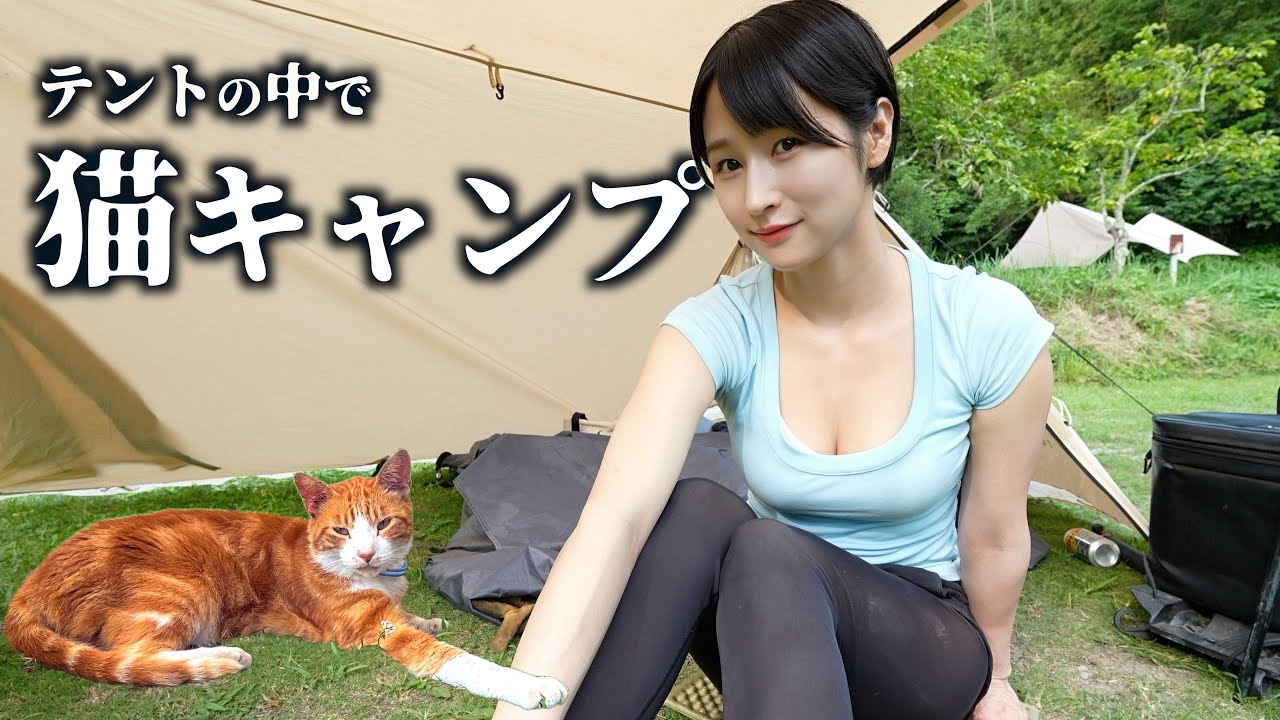 【猫キャンプ】自由すぎる猫たちにテントを乗っ取られかけた…