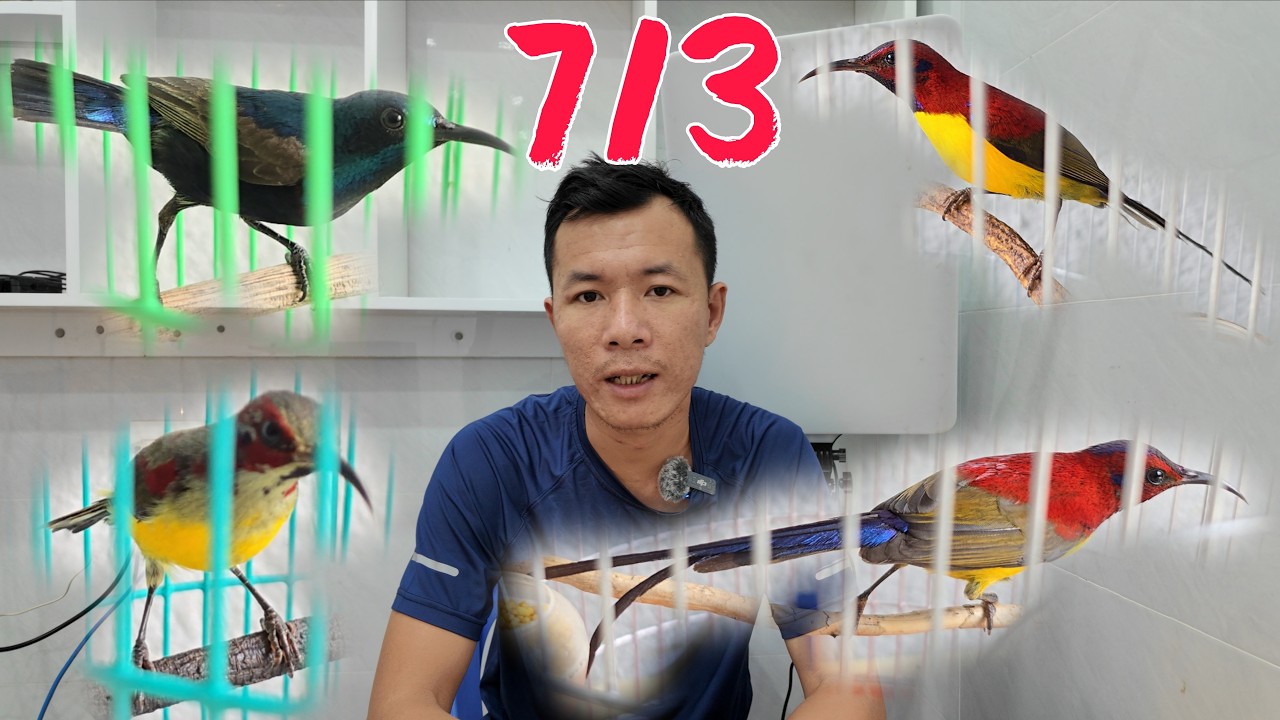 [7/3/2026] Đà Lạt Bổi, Chuyền, Họng Đen, 7 Màu...