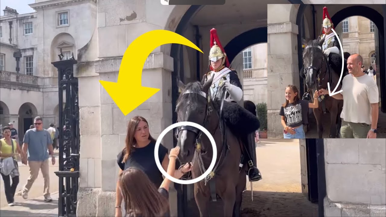 Weiring Moments! 7 Times grabbing in 4 minutes, king’s guard’s horse Reins grabbing!
