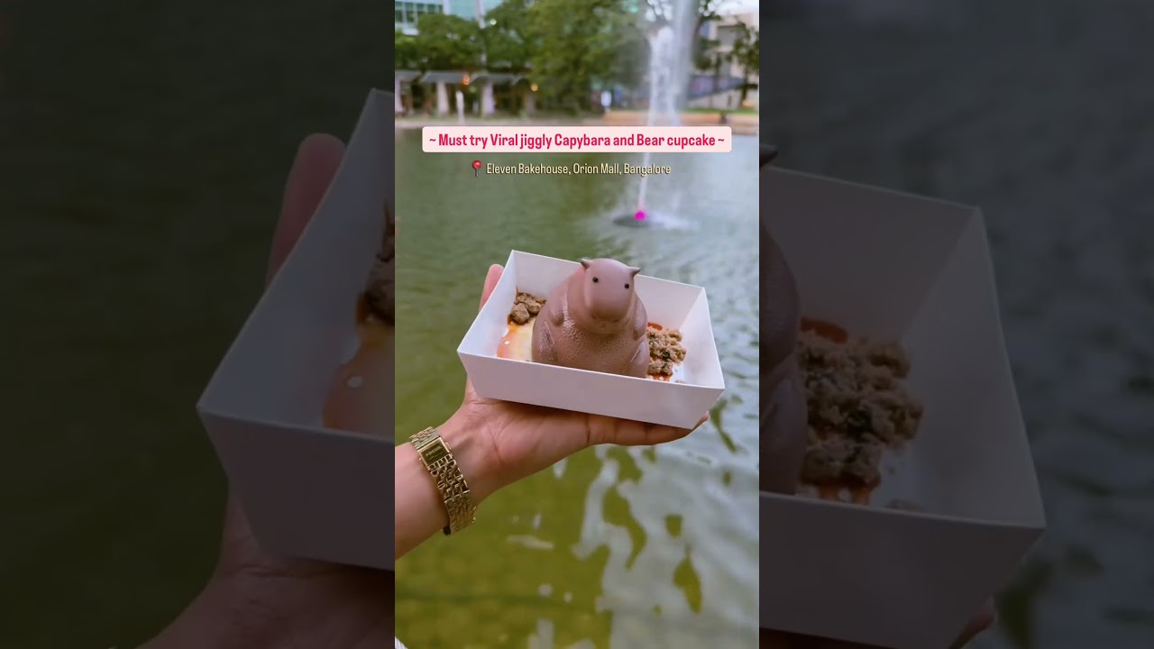 Viral Jiggly cake 🥰 #capybara #dessert #bangalore