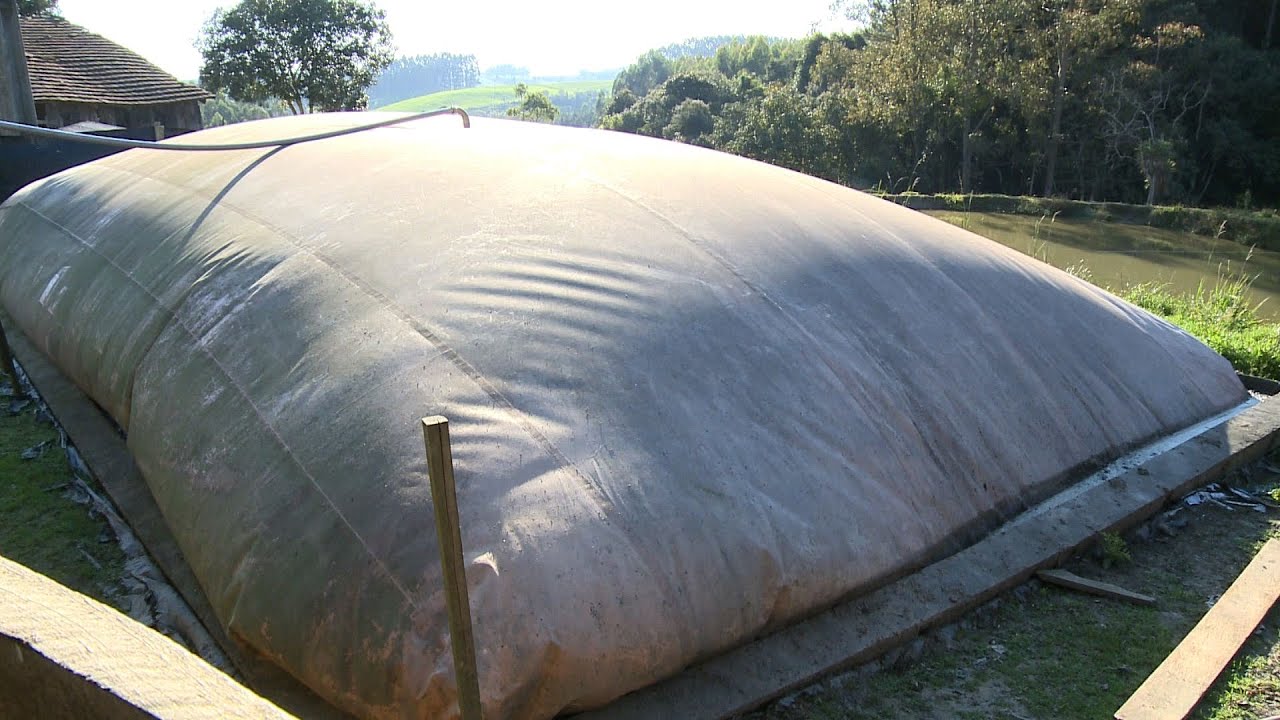 Biodigestor