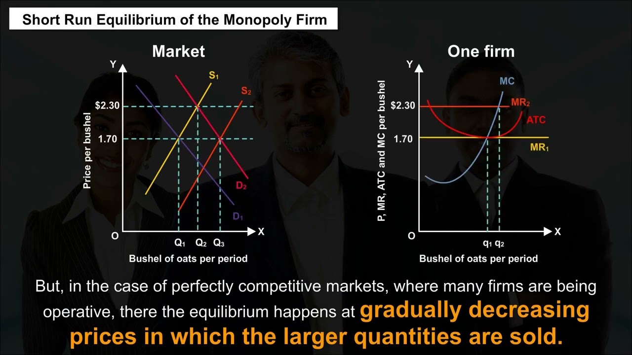 Ch 9 - Non Competitive Markets