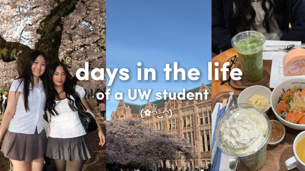 uni vlog🌸: cherry blossoms @ UW, matcha, job hunting, shopping