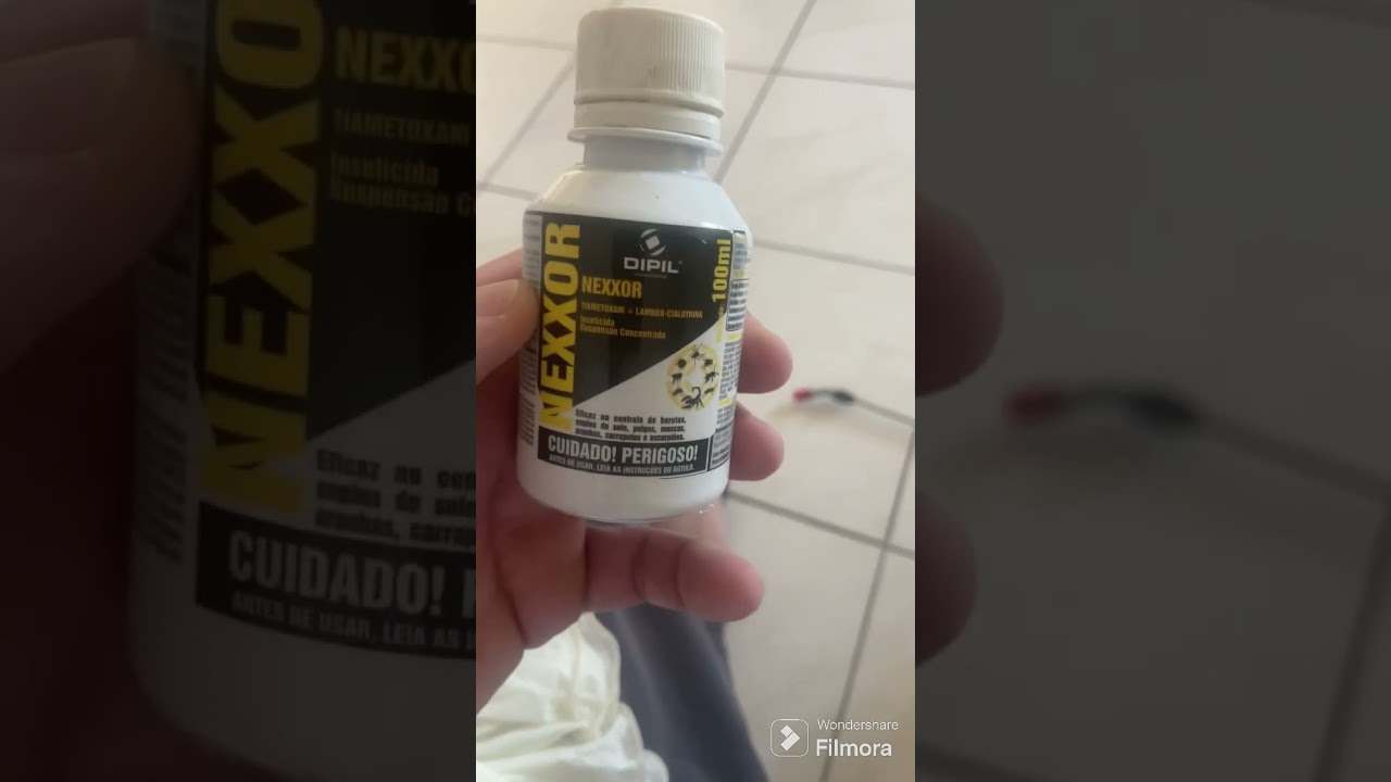 Como dedetizar a casa!