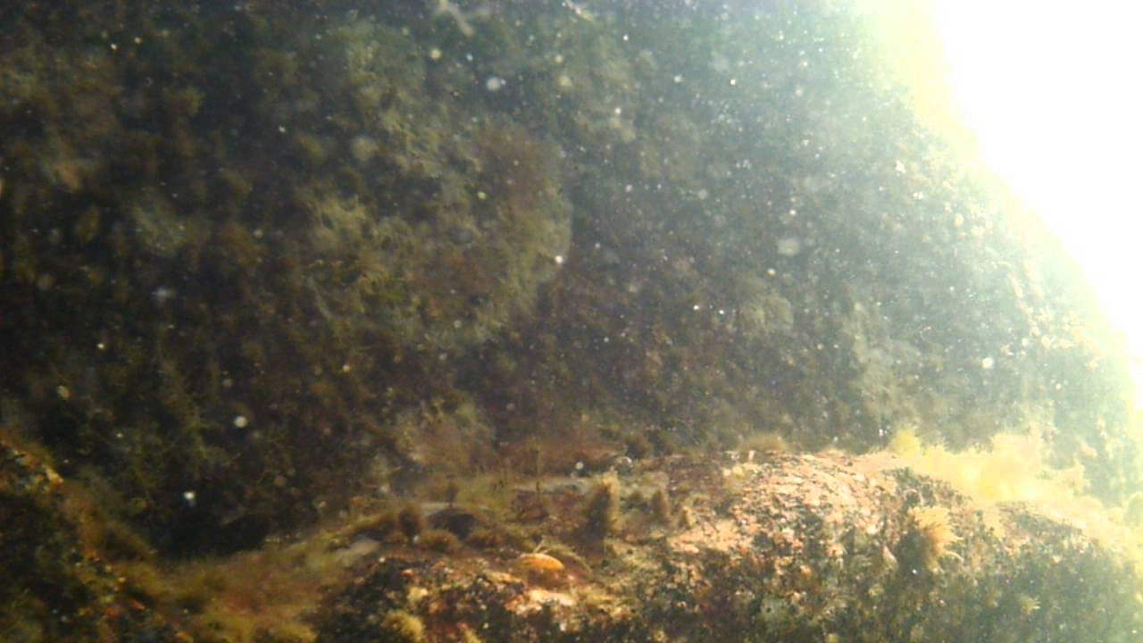 Baltic sea, &ouml;land, L&ouml;ttorp