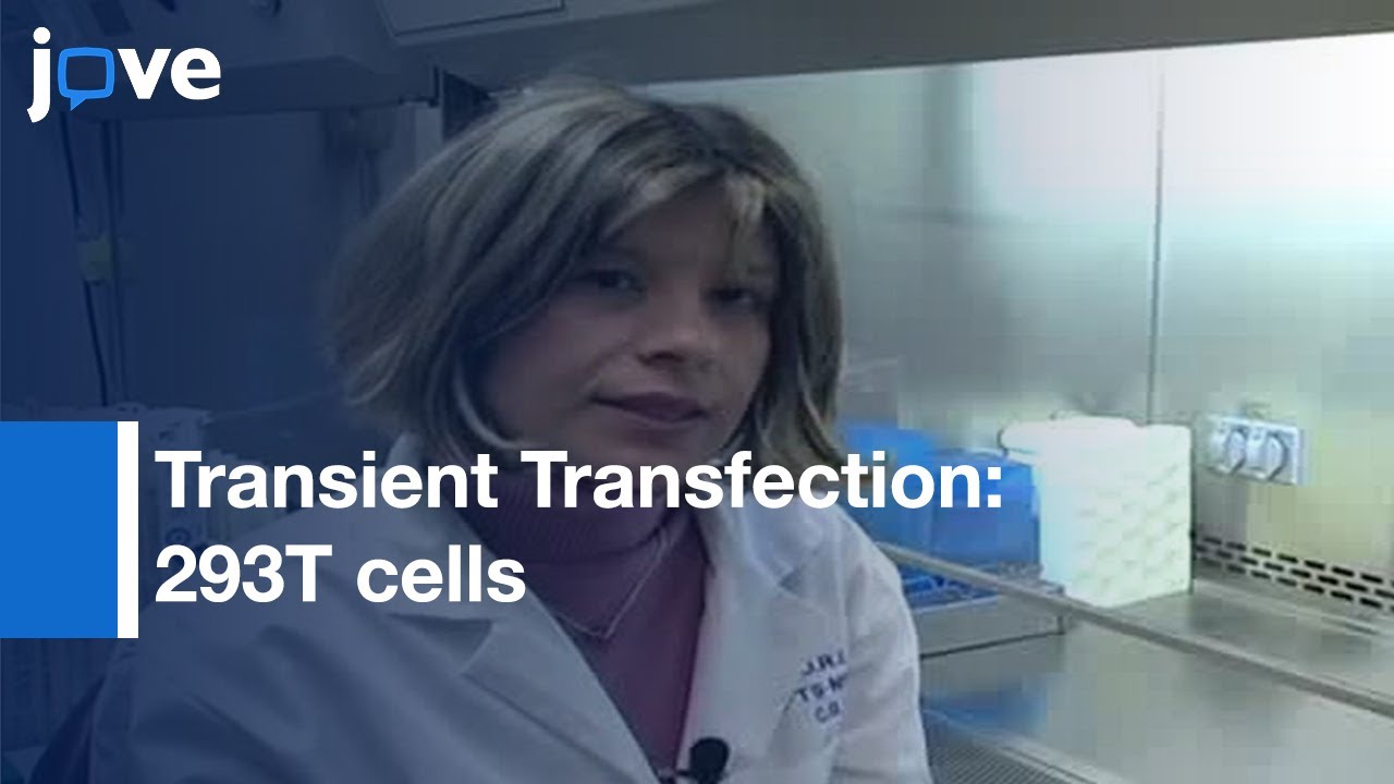Producing Replication-Defective Retrovirus By Transient Transfection: 293T cells l Protocol Preview