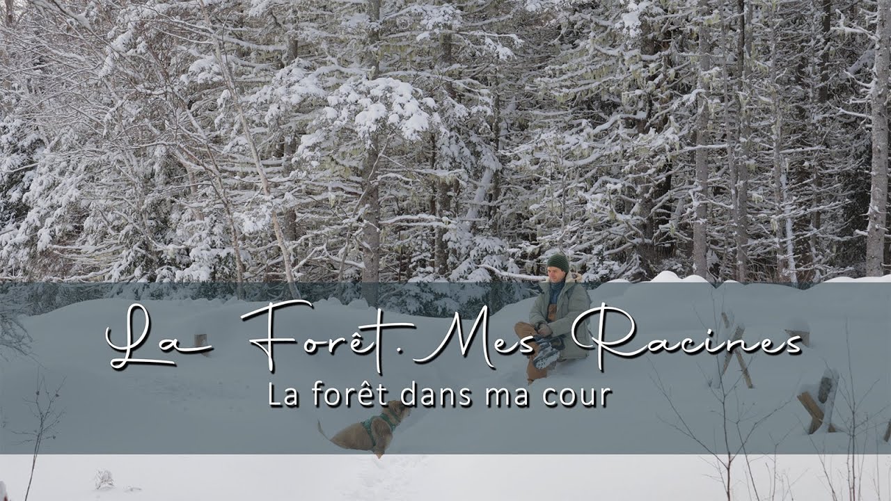 La forêt, mes racines: La forêt dans ma cour